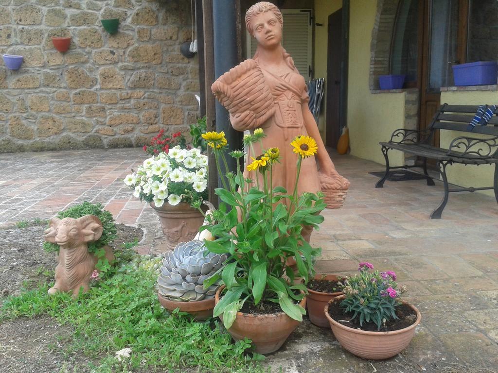 Poggio Dell'Olivo Villa Pitigliano Exterior foto
