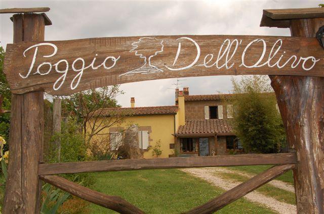 Poggio Dell'Olivo Villa Pitigliano Exterior foto