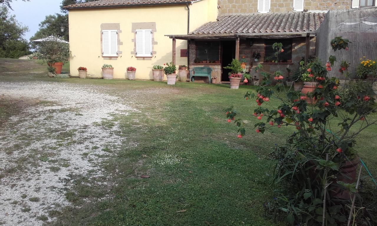 Poggio Dell'Olivo Villa Pitigliano Exterior foto