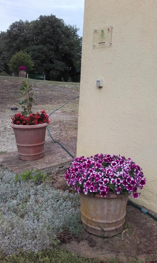 Poggio Dell'Olivo Villa Pitigliano Exterior foto